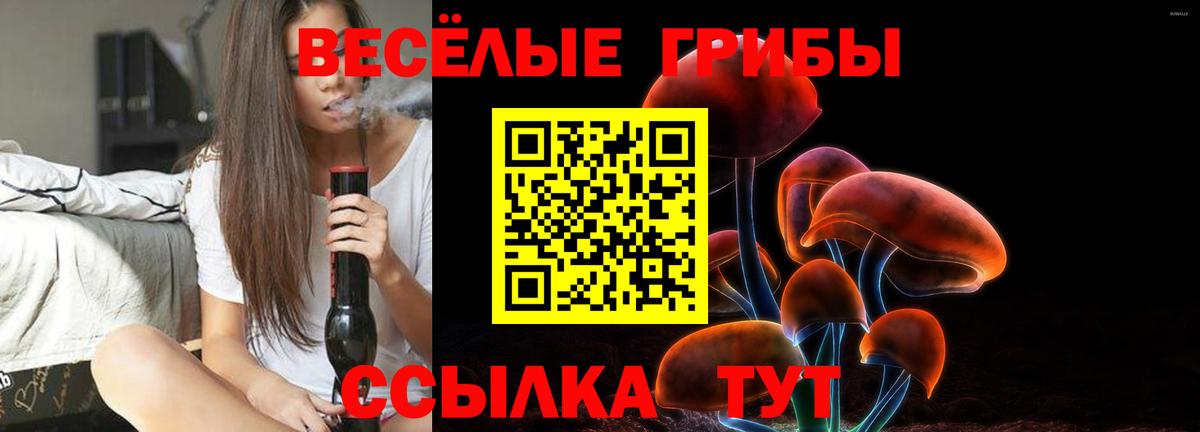 хочу наркоту  Вход с VPN  Камышин  Псилоцибиновые грибы ЛСД 